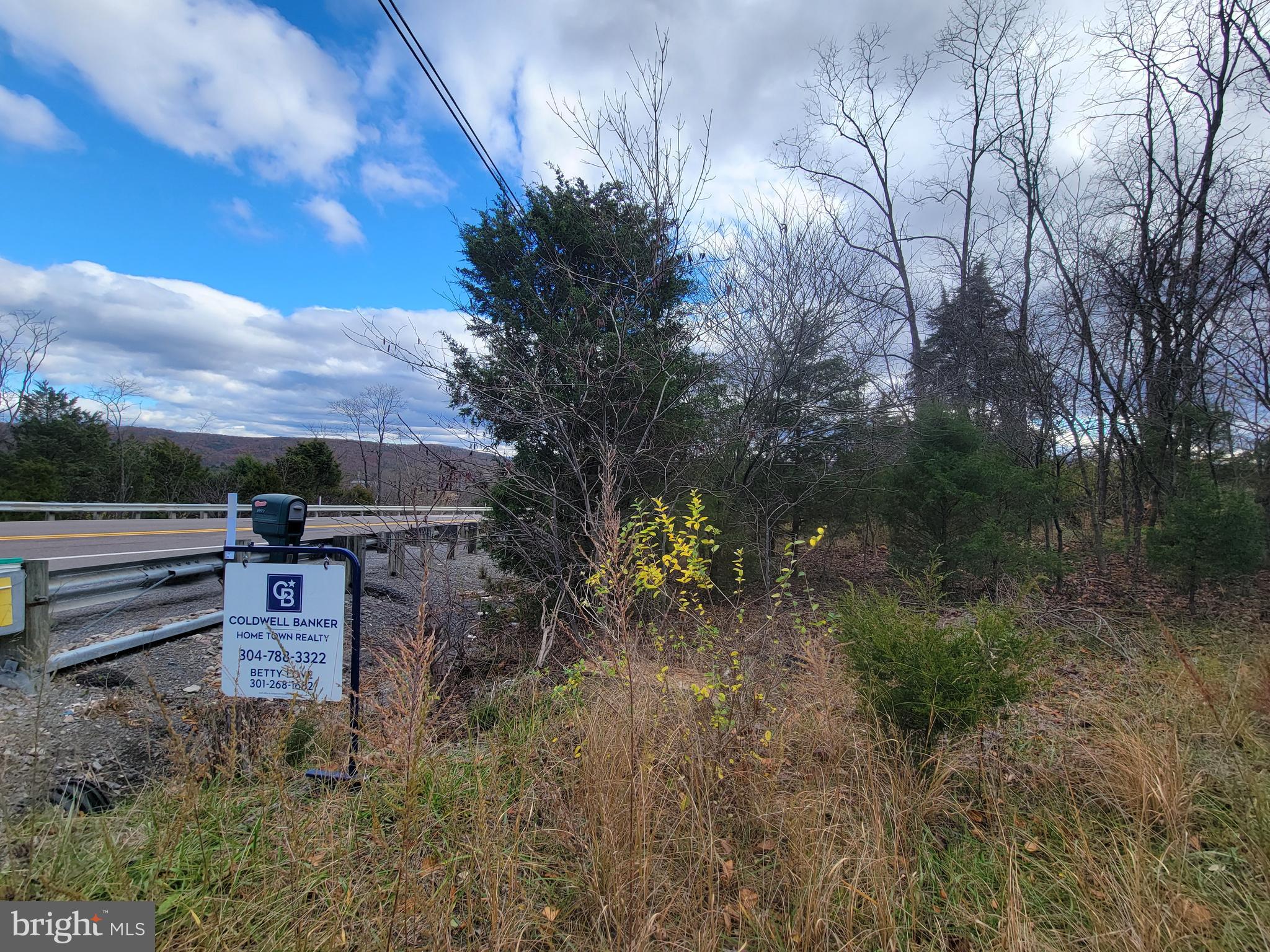 Northwestern Turnpike New Creek, WV 26743 - Photo 2 of 13