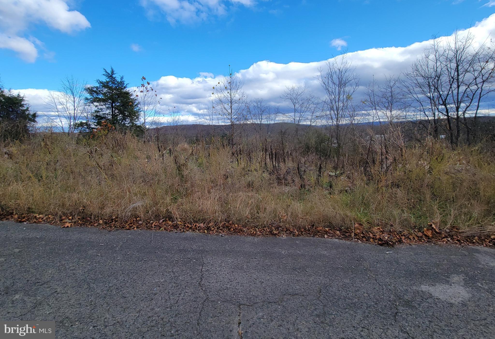 Northwestern Turnpike New Creek, WV 26743 - Photo 4 of 13