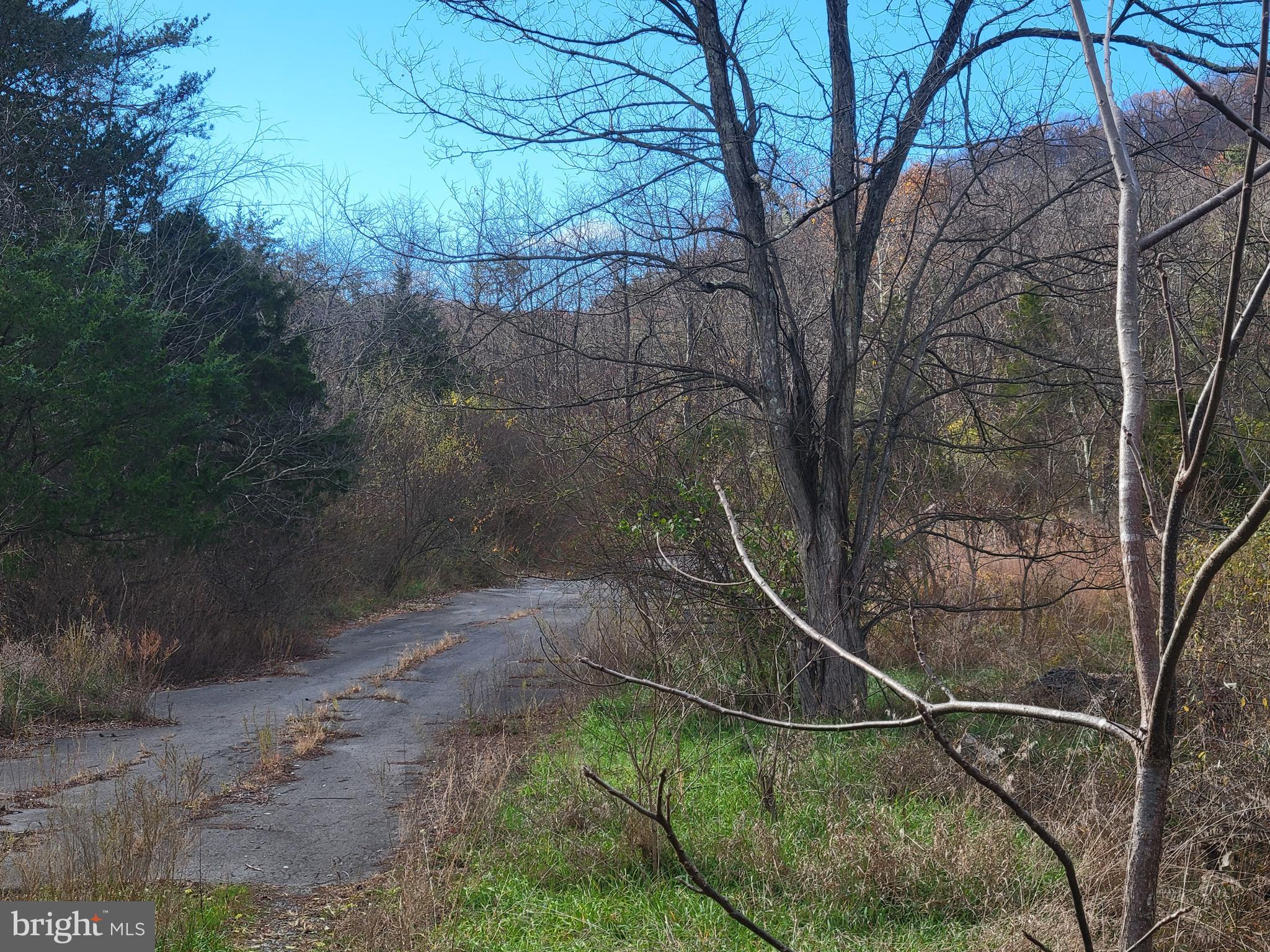 Northwestern Turnpike New Creek, WV 26743 - Photo 6 of 13