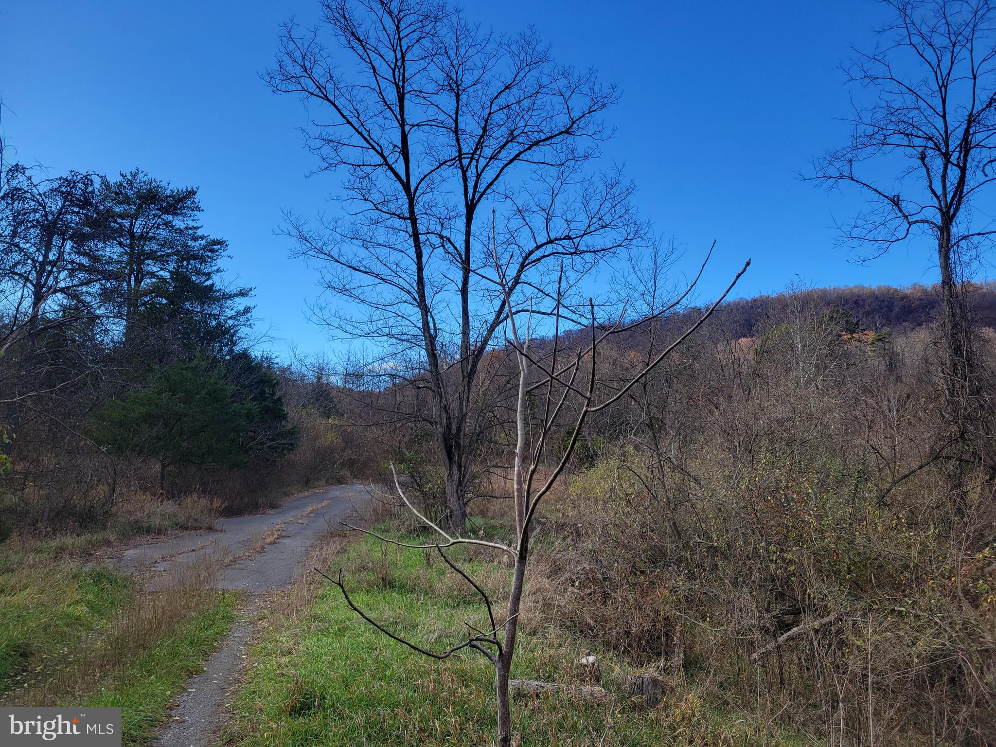 Northwestern Turnpike New Creek, WV 26743 - Photo 7 of 13