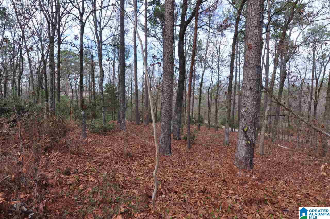 137 Tall Timber Road Alabaster, AL 35007 - Photo 5 of 35