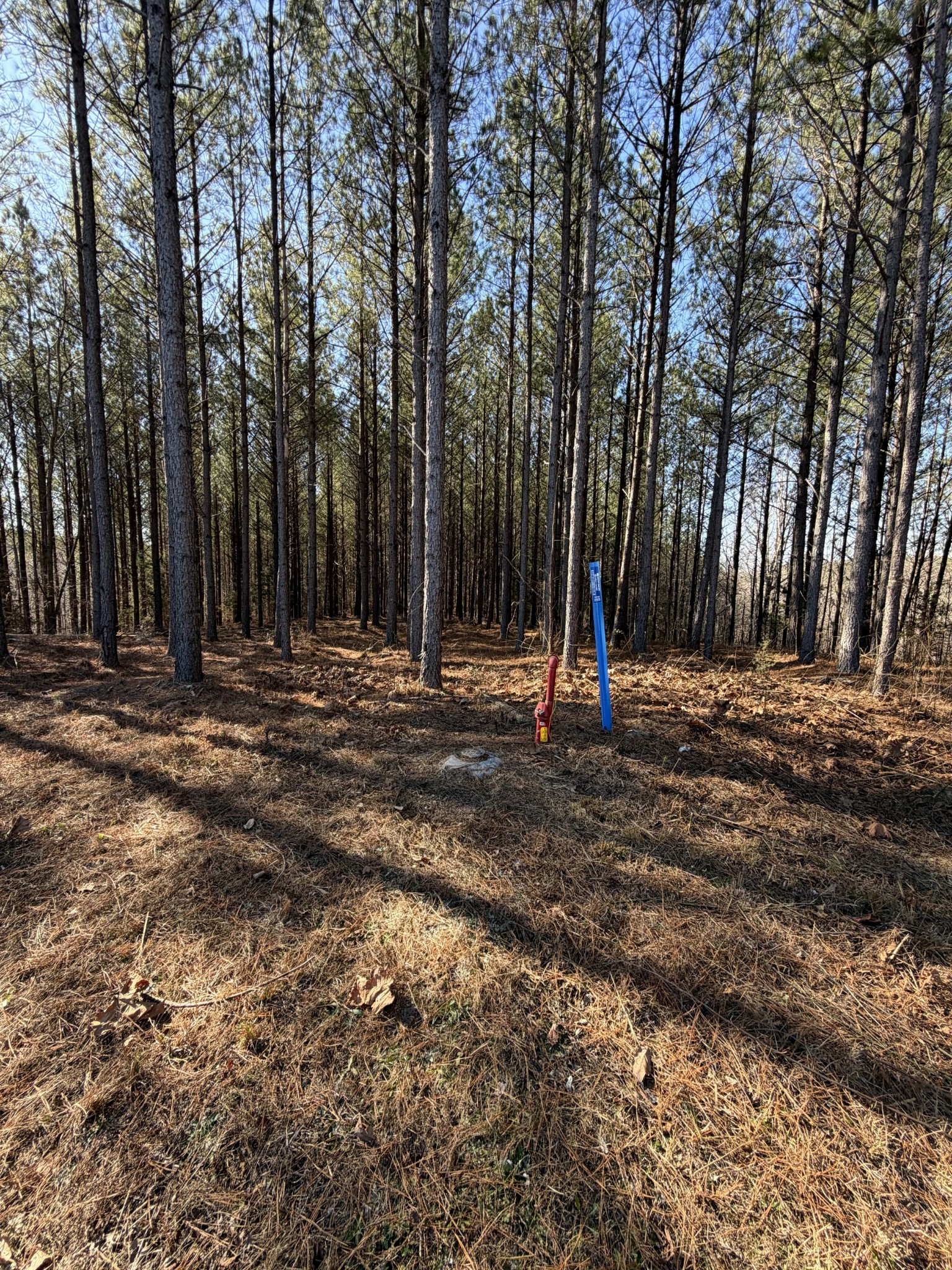 533 Center Ridge Drive Linden, TN 37096 - Photo 11 of 19 a park with large trees and wooden fence