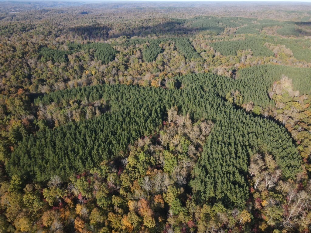 533 Center Ridge Drive Linden, TN 37096 - Photo 15 of 19 an aerial view of mountains with green space and fog