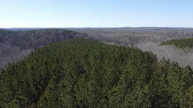 $145,000 | 533 Center Ridge Drive, Linden, TN 37096