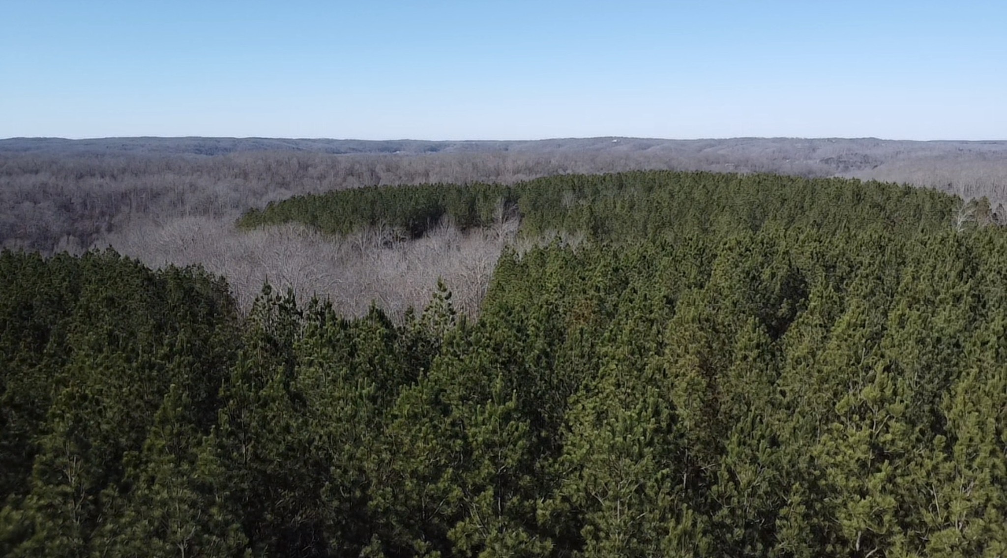 533 Center Ridge Drive Linden, TN 37096 - Photo 17 of 19 a view of a lush green forest with a lake