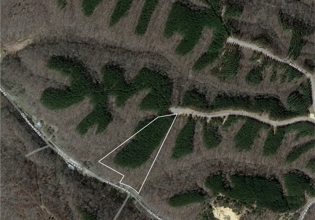 $145,000 | 533 Center Ridge Drive, Linden, TN 37096