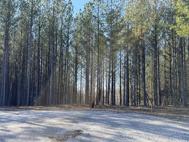 $145,000 | 533 Center Ridge Drive, Linden, TN 37096