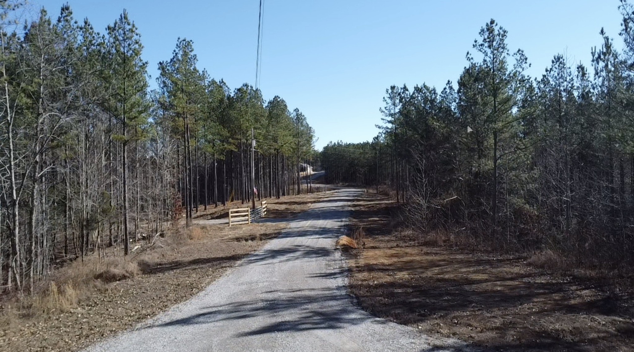 533 Center Ridge Drive Linden, TN 37096 - Photo 6 of 19 a view of backyard with green space