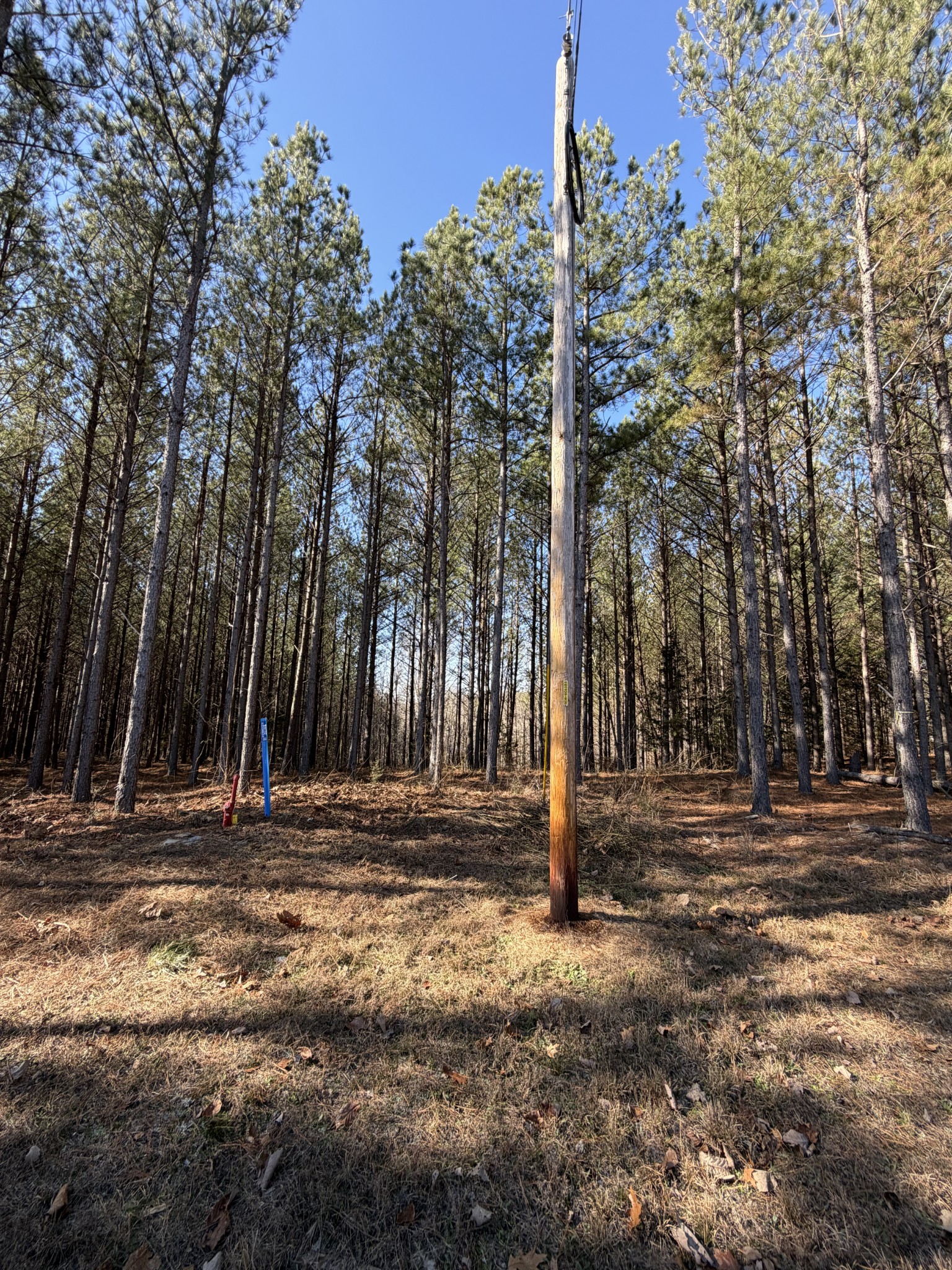 533 Center Ridge Drive Linden, TN 37096 - Photo 10 of 19 a view of outdoor space with deck and trees