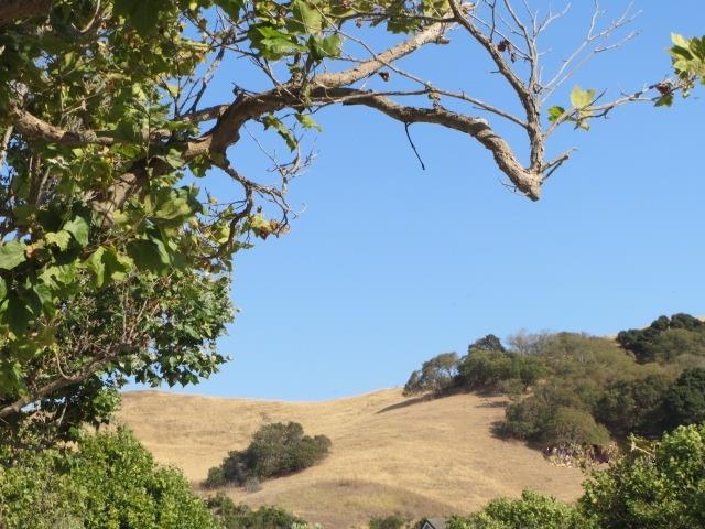 17609 River Run Road Salinas, CA 93908 - Photo 15 of 16 Gallery Image 15