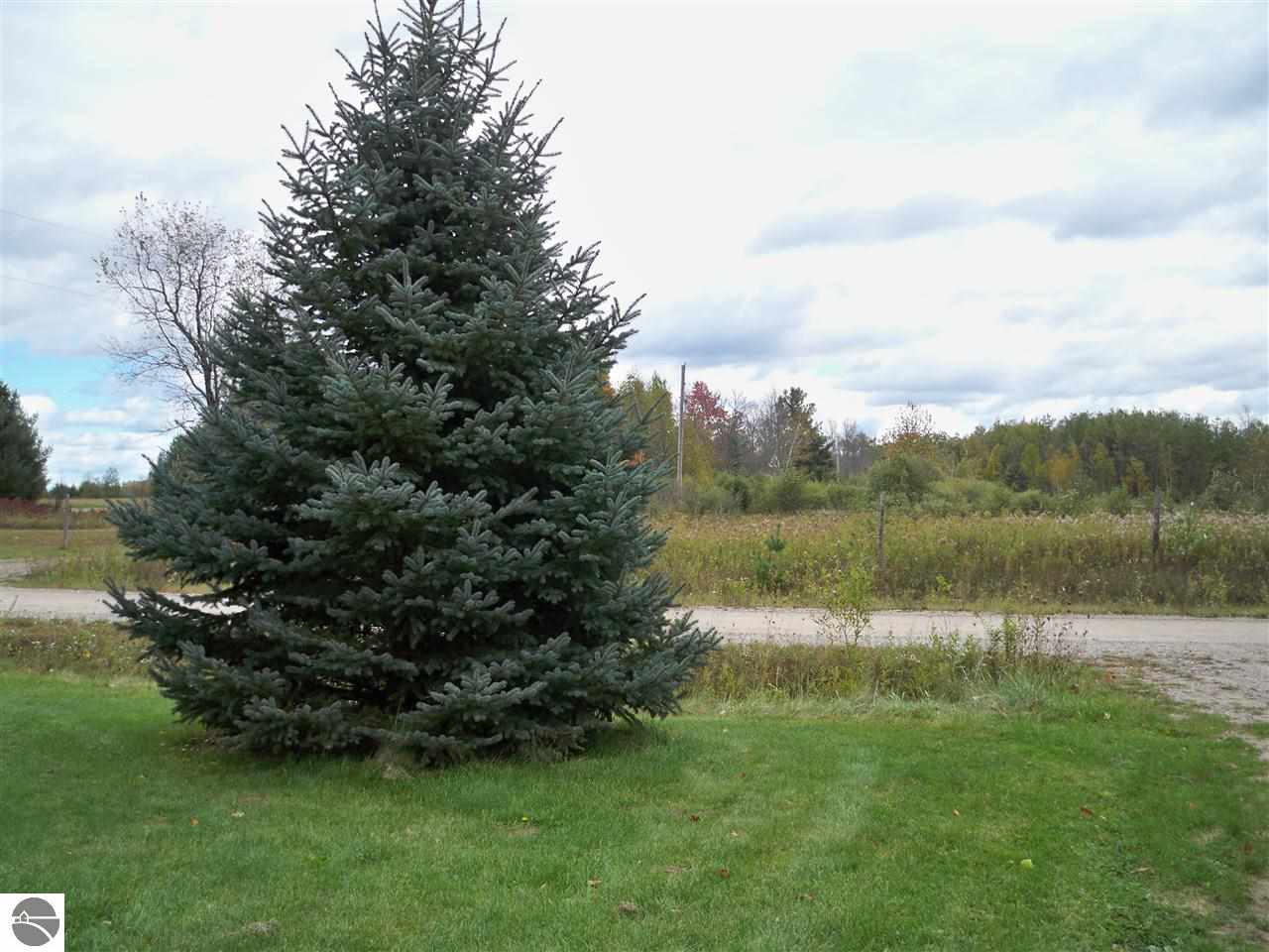 1737 Westfield Road Alger, MI 48610 - Photo 61 of 68 1791782-60.JPG