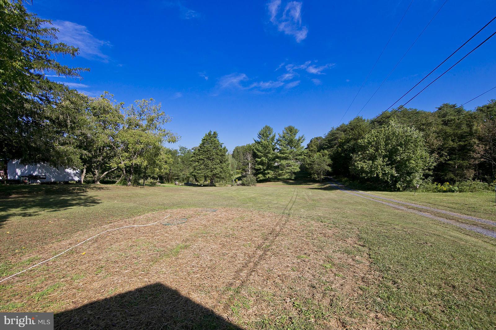 2244 Strasburg Road Front Royal, VA 22630 - Photo 30 of 30 a view of a yard with a tree