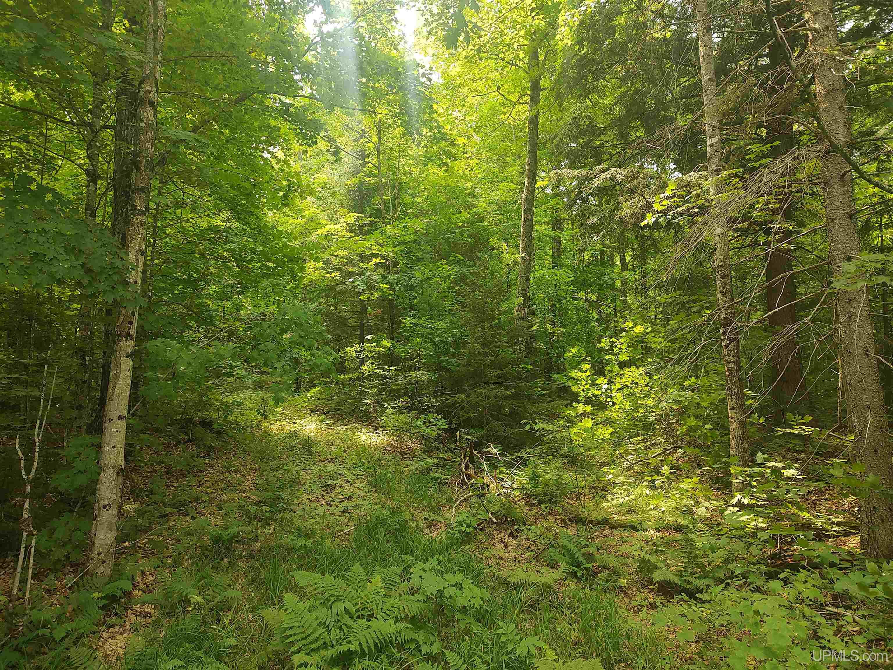 60-acres Sleepy Hollow Road Ishpeming, MI 49849 - Photo 27 of 29