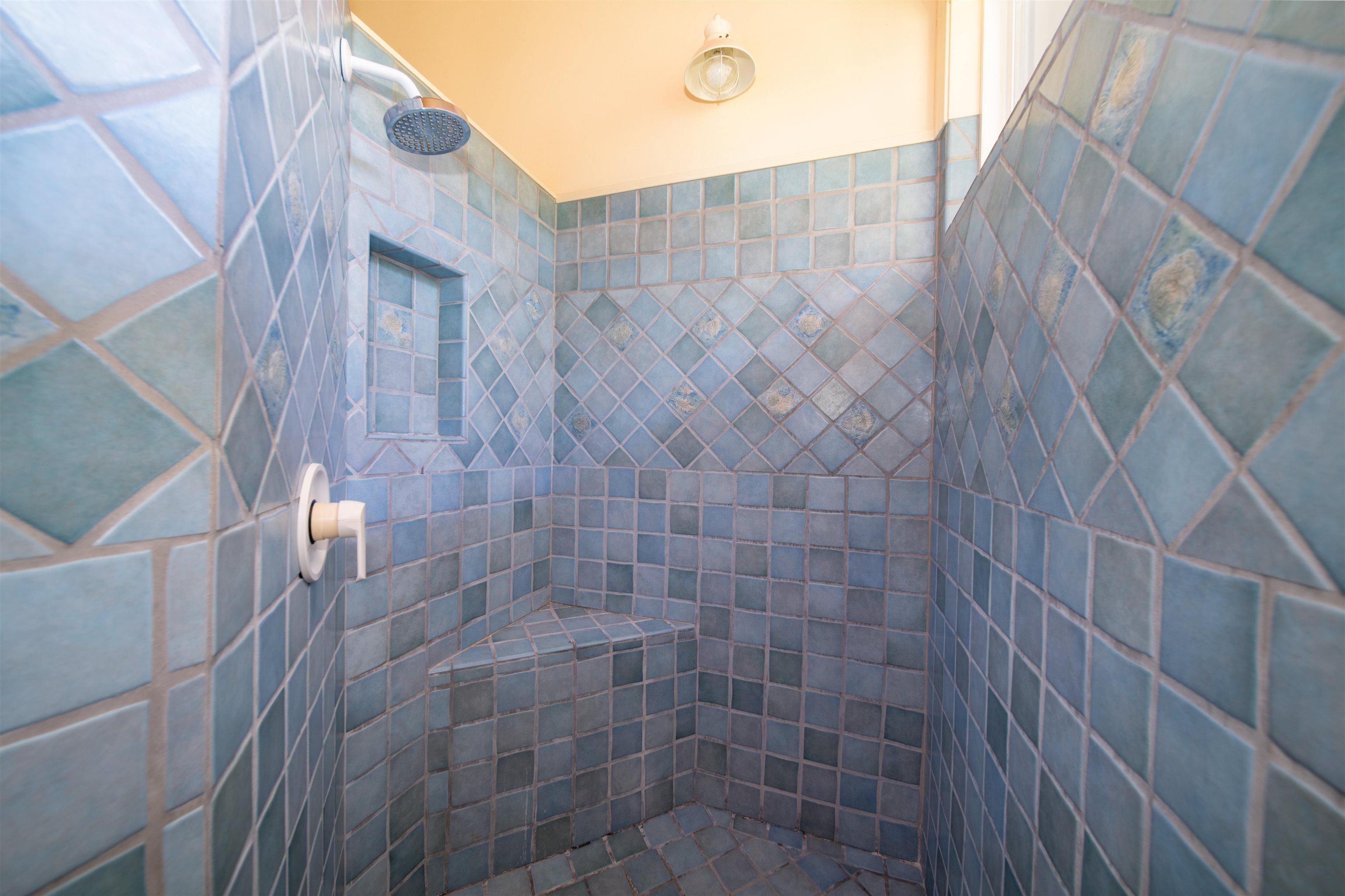 4955 Uakea Road Hana, HI 96713 - Photo 20 of 36 a bathroom with a shower
