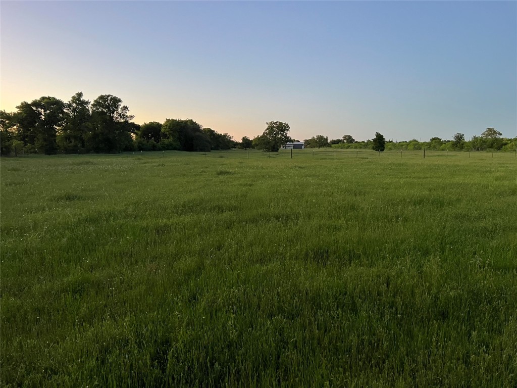 a view of a grassy field
