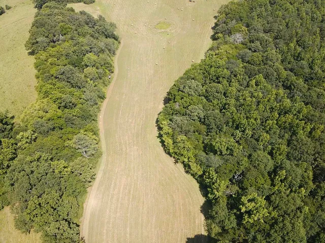 $1,900,000 | 0 County Road 494, Bryant, AL 35958