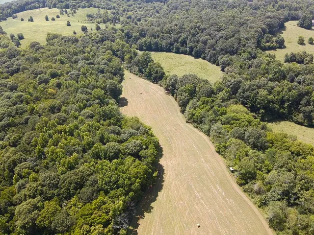 $1,900,000 | 0 County Road 494, Bryant, AL 35958