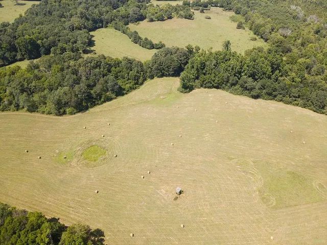 $1,900,000 | 0 County Road 494, Bryant, AL 35958