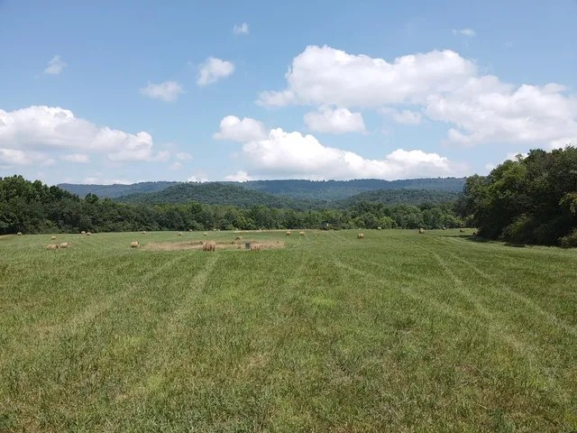 $1,900,000 | 0 County Road 494, Bryant, AL 35958