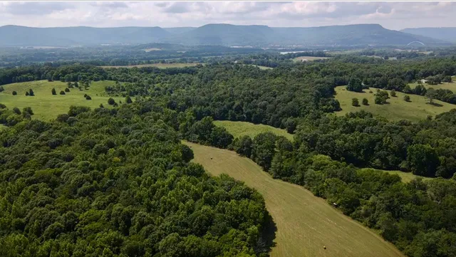 $1,900,000 | 0 County Road 494, Bryant, AL 35958