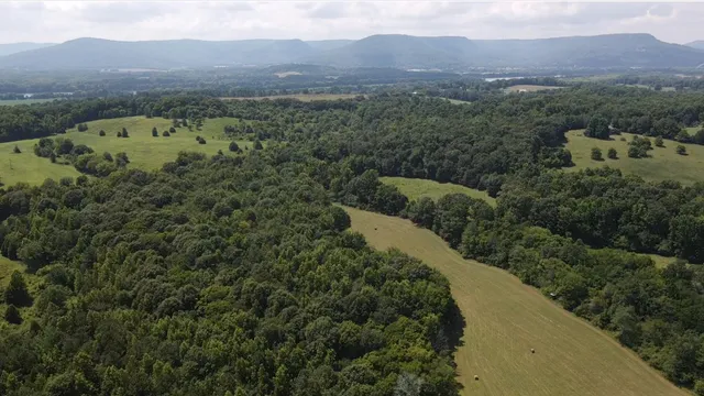 $1,900,000 | 0 County Road 494, Bryant, AL 35958