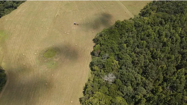 $1,900,000 | 0 County Road 494, Bryant, AL 35958