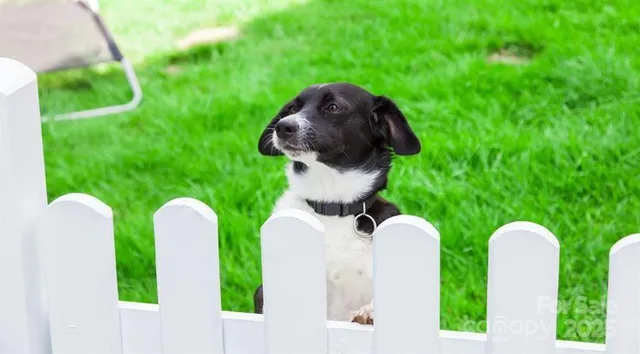 a view of a park with swings