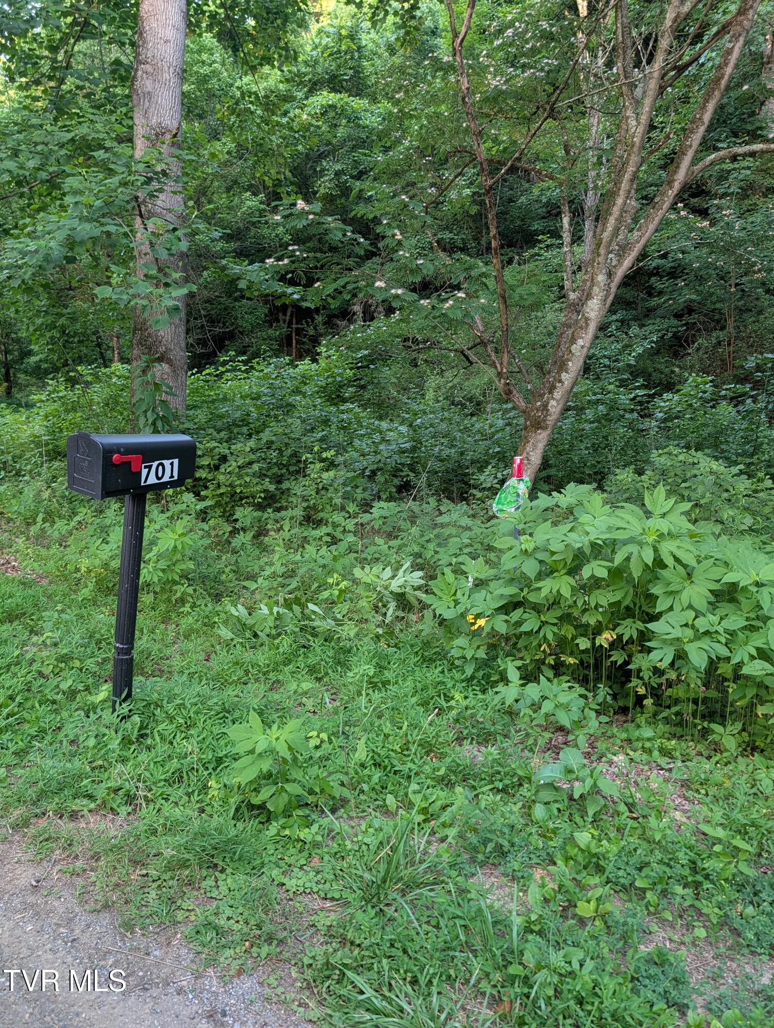 701 Old Witt Road, Unit 1 Morristown, TN 37813 - Photo 9 of 14 TL10