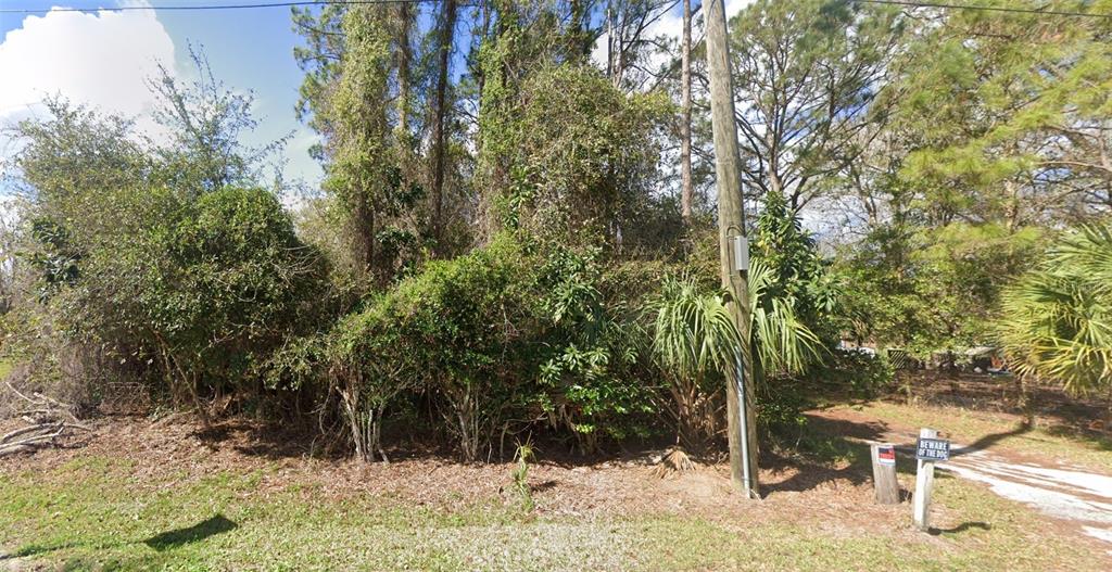 126 Beacon Light Road Oak Hill, FL 32759 - Photo 1 of 1 a view of outdoor space yard and tree