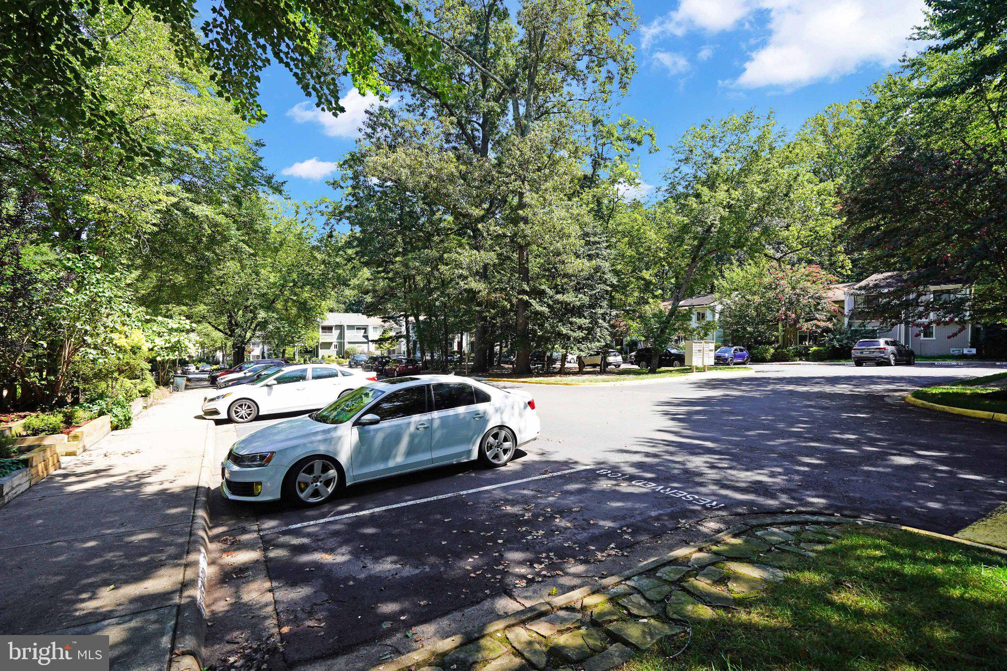 2382 Generation Drive Reston, VA 20191 - Photo 41 of 49 Serene street embraced by greenery.