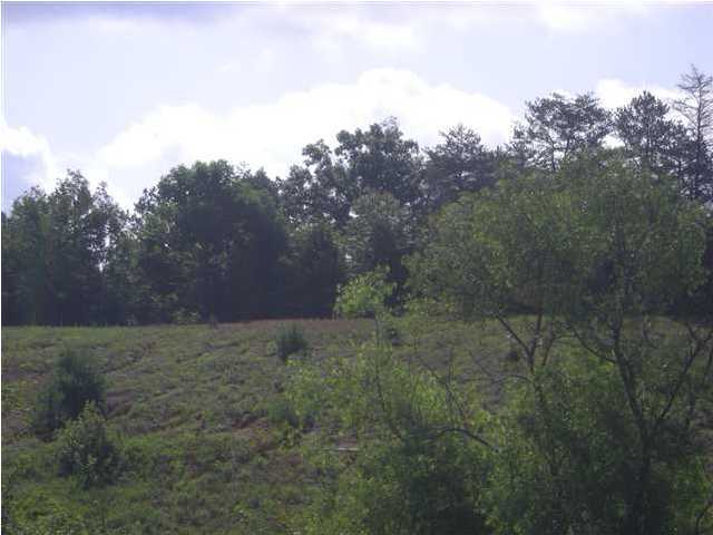 3 Frontage Road Cleveland, TN 37312 - Photo 7 of 8 Additional Photo
