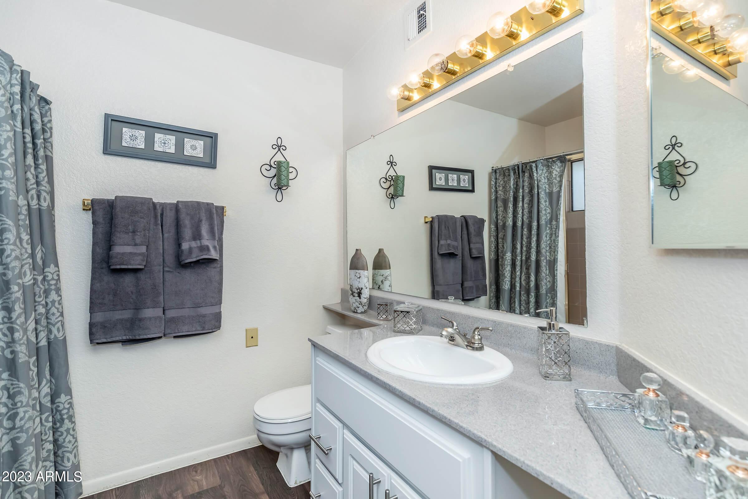 6445 South Maple Avenue, Unit 2 Tempe, AZ 85283 - Photo 9 of 23 Master Bathroom