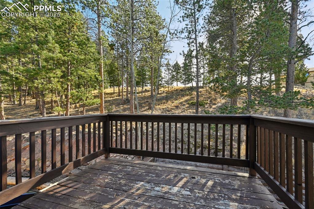 1043 Kings Crown Road Woodland Park, CO 80863 - Photo 25 of 47