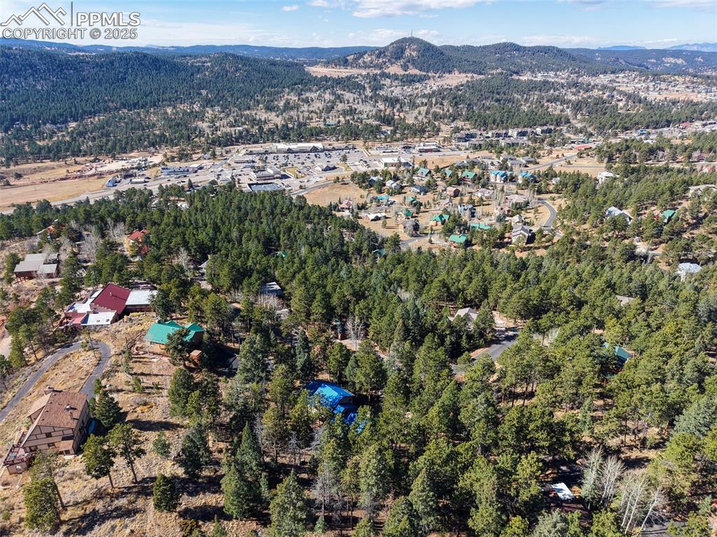 1043 Kings Crown Road Woodland Park, CO 80863 - Photo 45 of 47