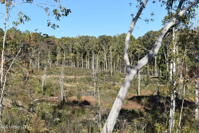 $65,000 | 2 Marianna Road, Holly Springs, MS 38635