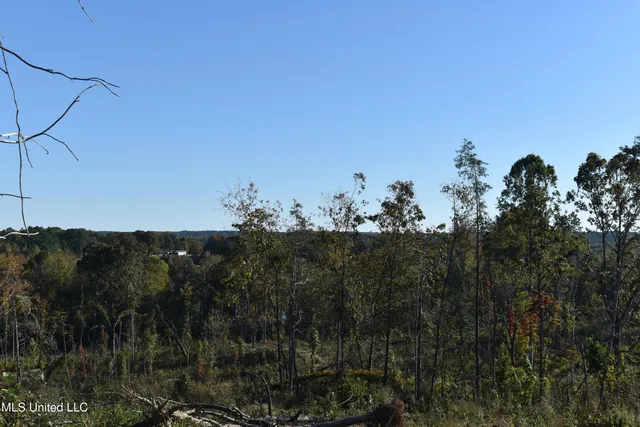 $65,000 | 2 Marianna Road, Holly Springs, MS 38635