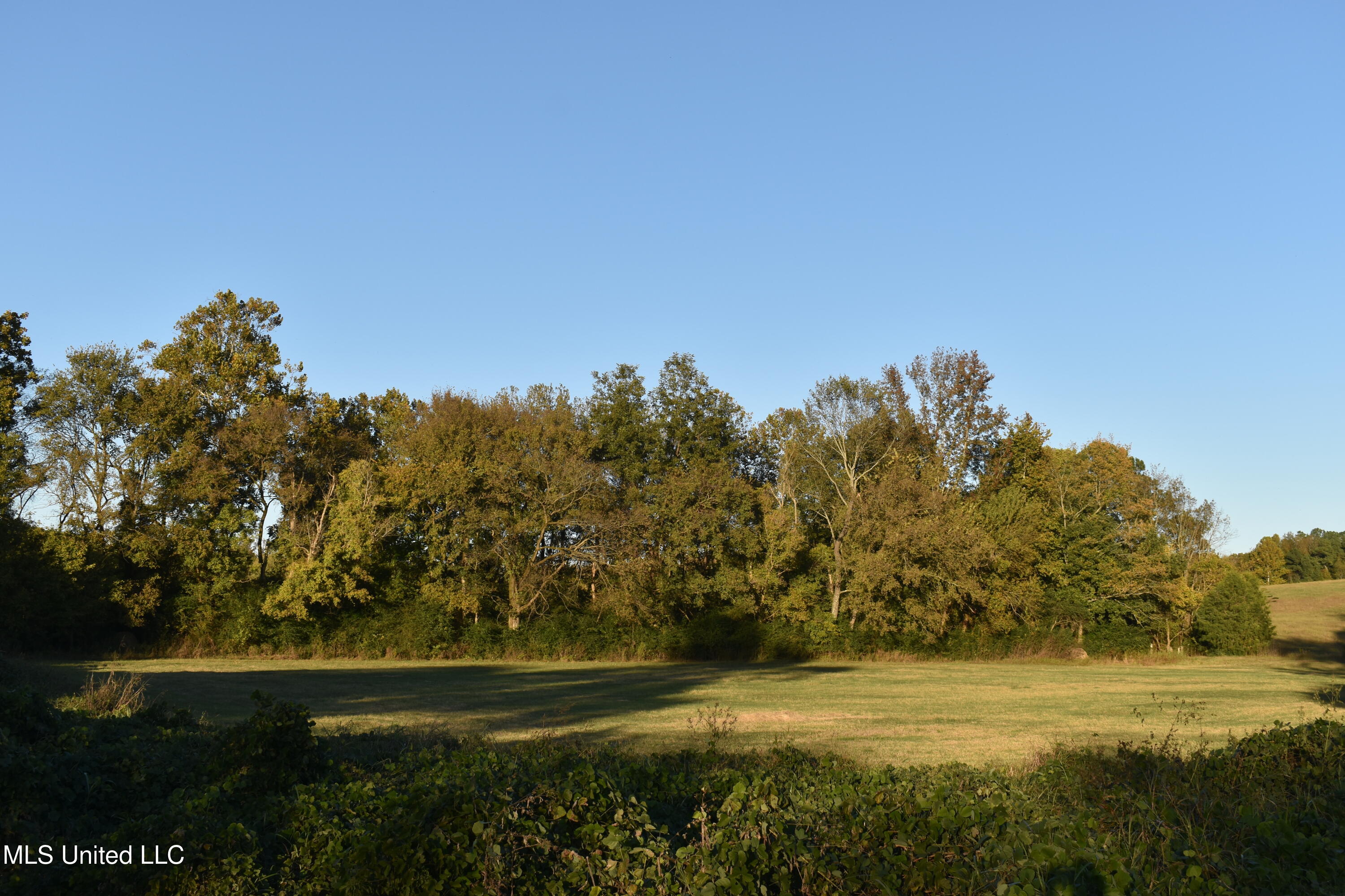 2 Marianna Road Holly Springs, MS 38635 - Photo 15 of 16 DSC_0652