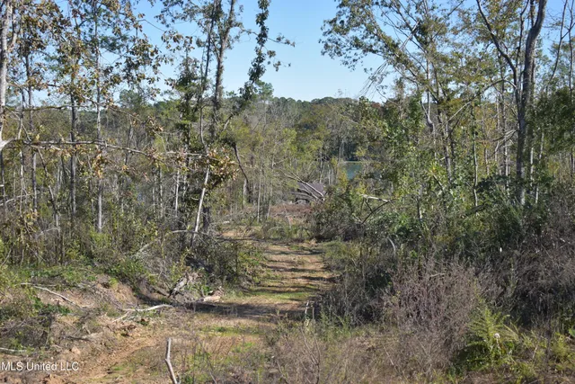 $65,000 | 2 Marianna Road, Holly Springs, MS 38635