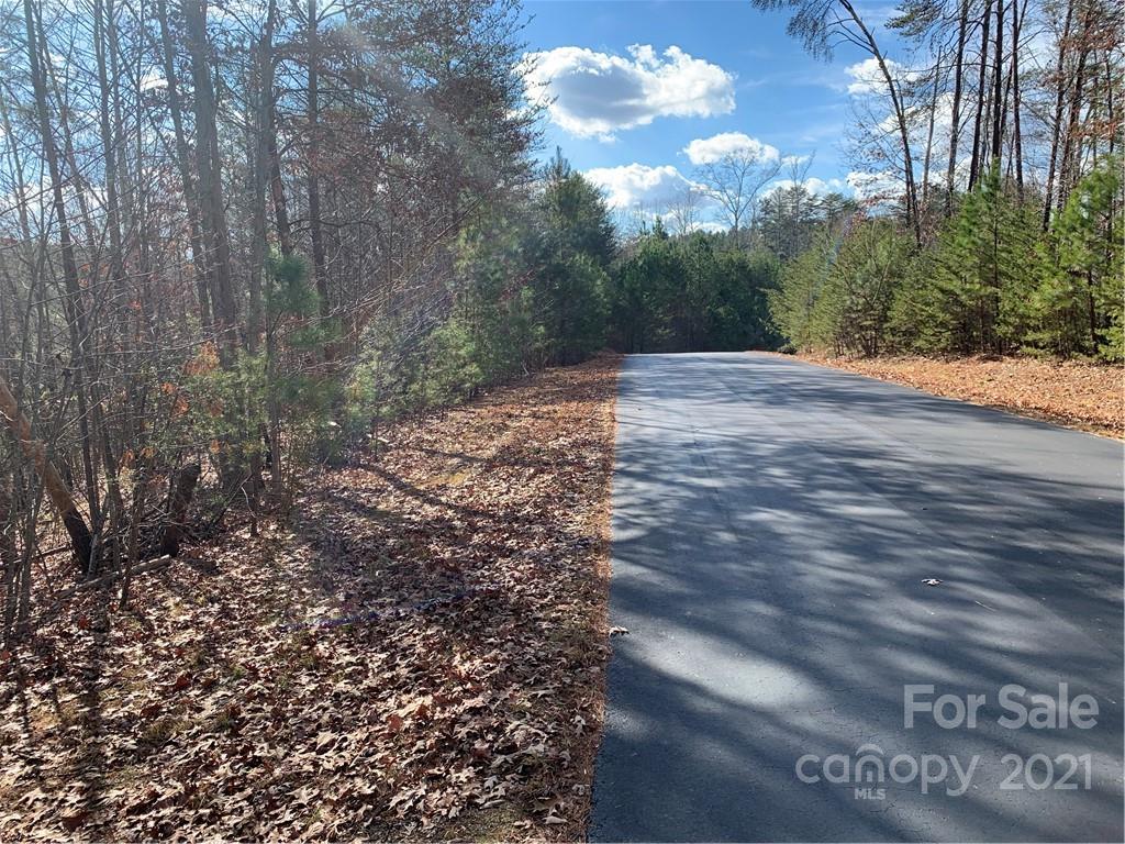 30 South Cross Creek Trail Mill Spring, Unit 30 Mill Spring, NC 28756 - Photo 2 of 9 a view of a yard with an trees