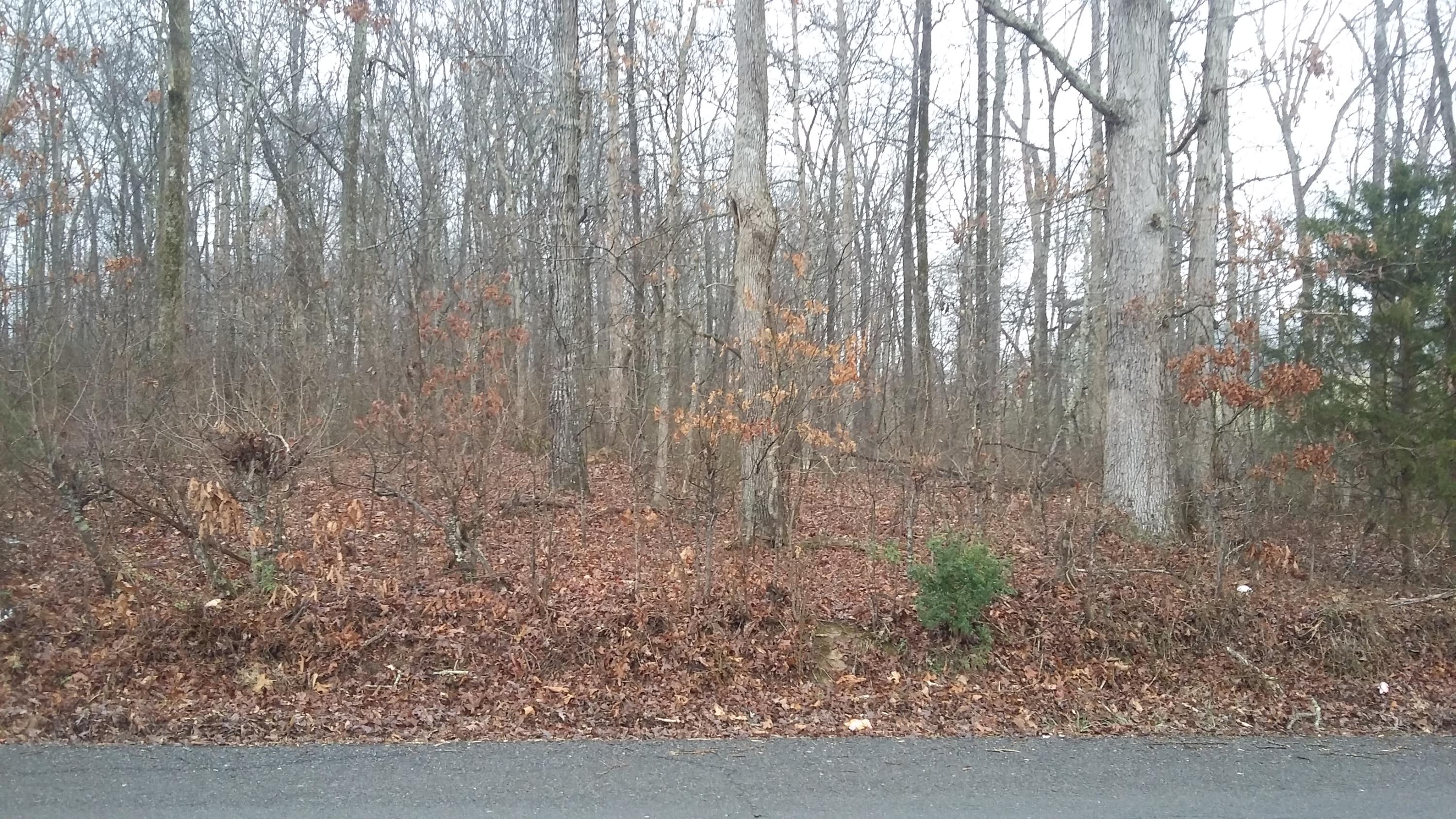 5 Caldwell Road Loudon, TN 37774 - Photo 1 of 2 Front Road View