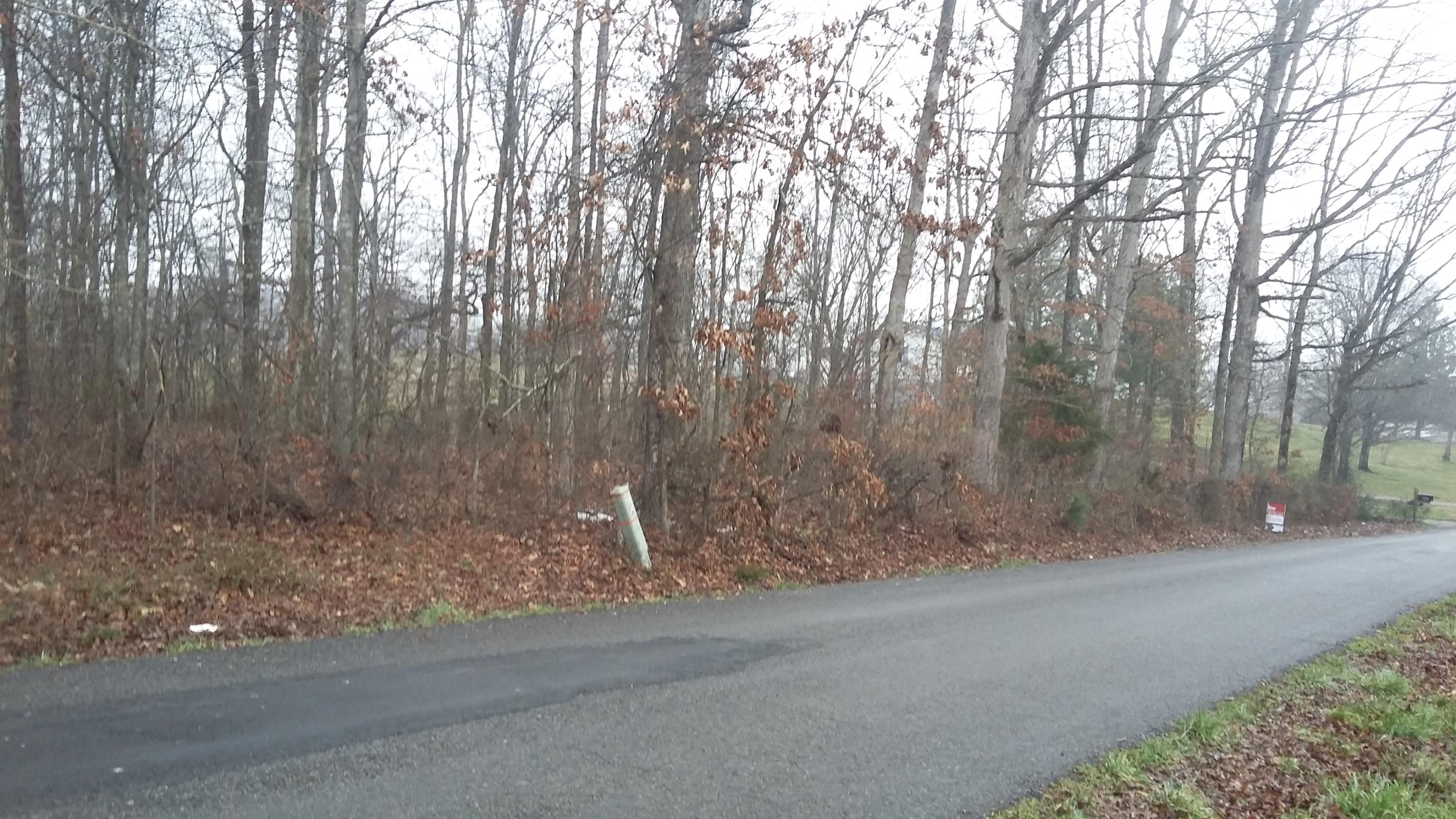 5 Caldwell Road Loudon, TN 37774 - Photo 2 of 2 Front Road View_2