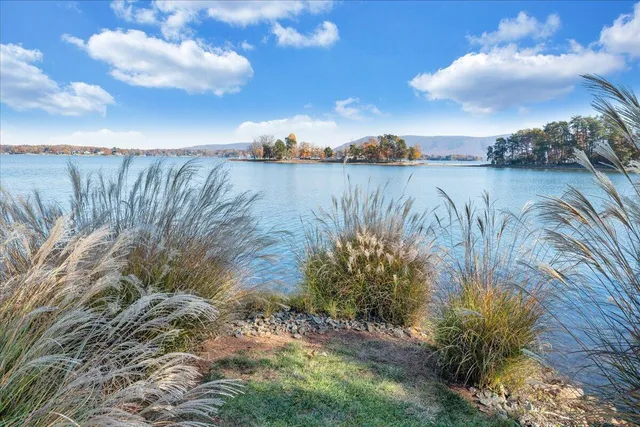 $1,450,000 | 362 Carrs Point Lane, Moneta, VA 24121