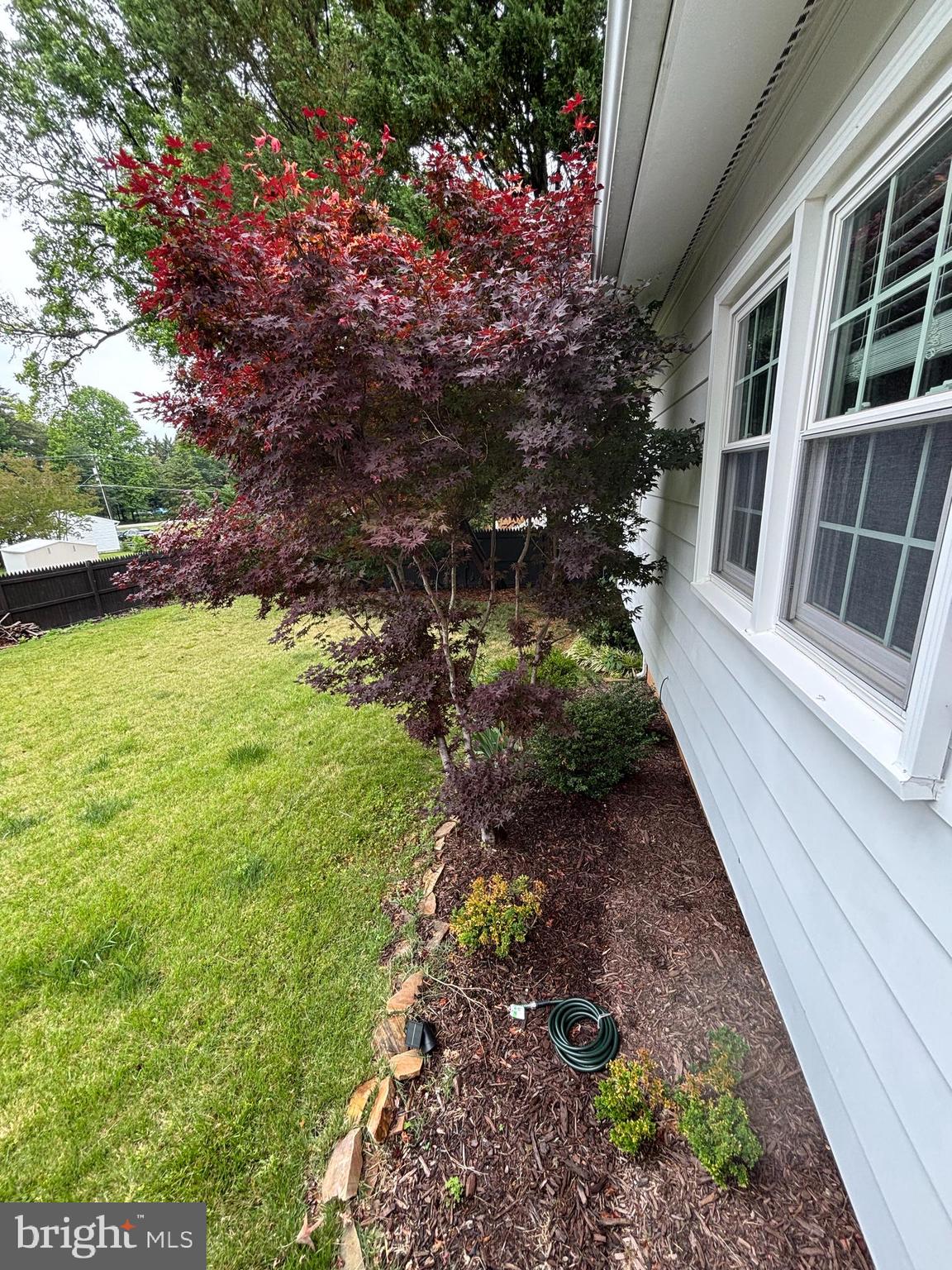 3424 Ramsgate Terrace Alexandria, VA 22309 - Photo 5 of 29 Back yard