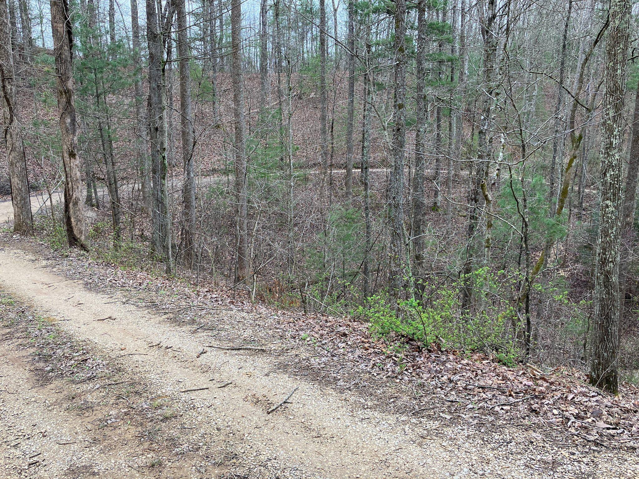 30 Black Bear Ridge Road Campton, KY 41301 - Photo 2 of 6 5