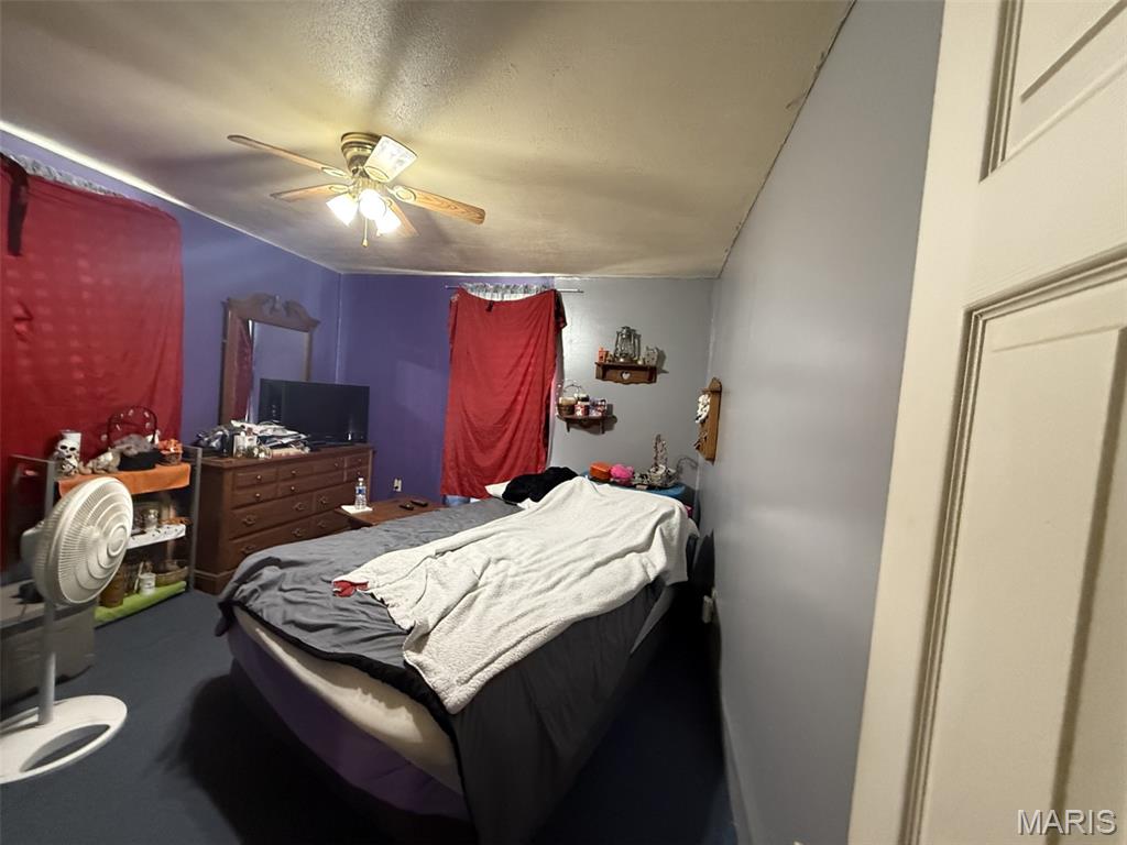 415 North Elm Street St. Elmo, IL 62458 - Photo 9 of 14