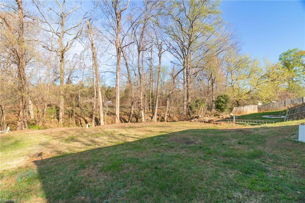 1719 Carolina Street High Point, NC 27265 - Photo 26 of 26