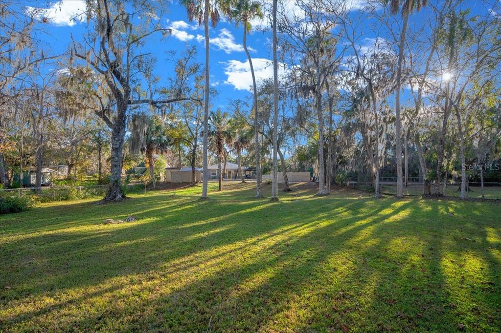 12575 West Edwards Court Inglis, FL 34449 - Photo 32 of 39 a view of a park with large trees