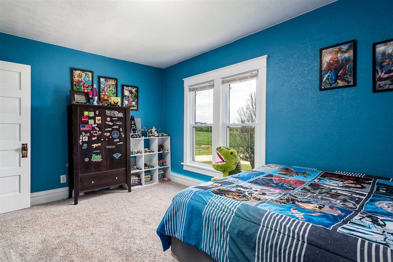 9691 East Cedarville Road Davis, IL 61019 - Photo 34 of 39 a bedroom with a bed and a window