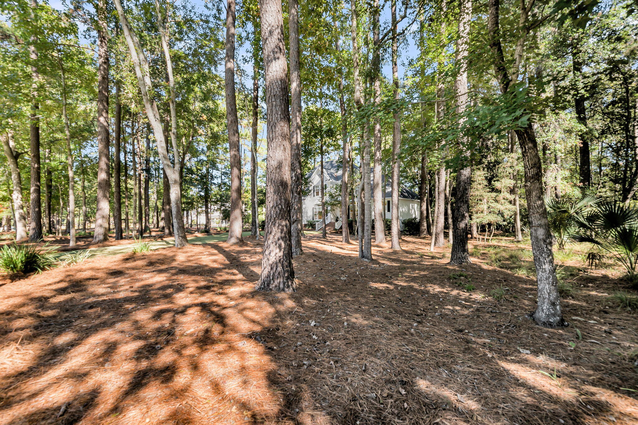 1849 Shell Ring Circle Mount Pleasant, SC 29466 - Photo 54 of 81 CREM - 1849 Shell Ring Cir-19