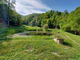 1532 Grassy Spur Road Bandy, VA 24602 - Photo 5 of 46 Gallery Image 5